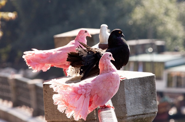 马尔卡宁持续得分表演，半场17分扛起进攻大旗
