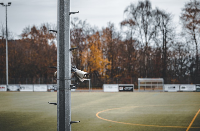 欢迎来到世界杯！四支新军分别抽到了德、西、阿、葡